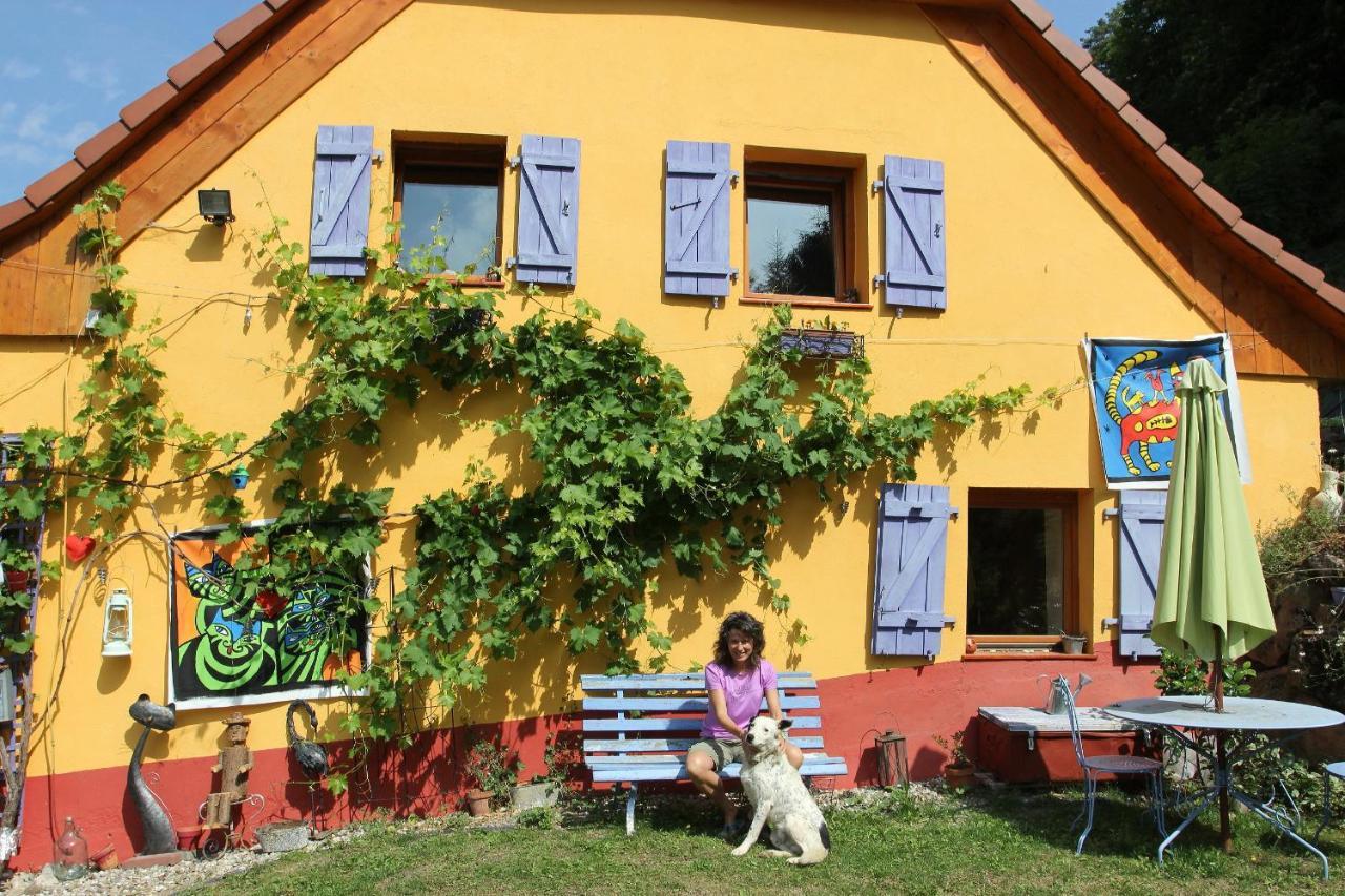Abri De Jardin Amenage, Chambre Camping Glamour Hotel Lalaye Exterior photo